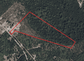 18+/- Acres of Hunting and Residential Land For Sale in Bladen County, NC!