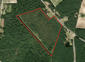 25+/- Acres of Timber and Hunting Land For Sale in Robeson County NC!