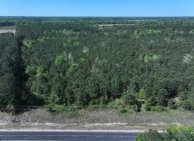25+/- Acres of Timber and Hunting Land For Sale in Robeson County NC!