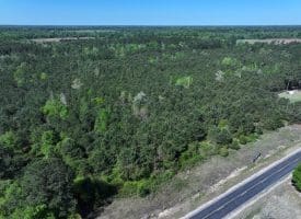 25+/- Acres of Timber and Hunting Land For Sale in Robeson County NC!