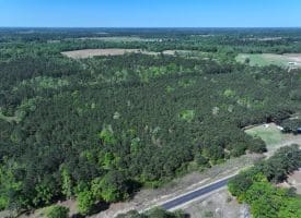 25+/- Acres of Timber and Hunting Land For Sale in Robeson County NC!