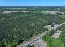 25+/- Acres of Timber and Hunting Land For Sale in Robeson County NC!
