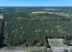 25+/- Acres of Timber and Hunting Land For Sale in Robeson County NC!