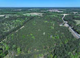 25+/- Acres of Timber and Hunting Land For Sale in Robeson County NC!