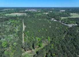 25+/- Acres of Timber and Hunting Land For Sale in Robeson County NC!