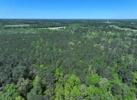 11+/- Acres of Residential and Timber Land For Sale in Robeson County NC!