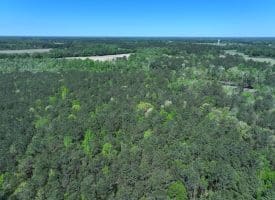 11+/- Acres of Residential and Timber Land For Sale in Robeson County NC!