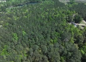 11+/- Acres of Residential and Timber Land For Sale in Robeson County NC!