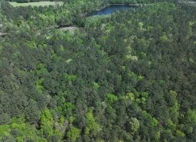 11+/- Acres of Residential and Timber Land For Sale in Robeson County NC!
