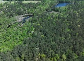 11+/- Acres of Residential and Timber Land For Sale in Robeson County NC!