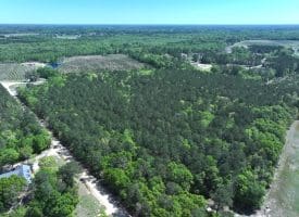 23+/- Acres of Residential and Hunting Land For Sale in Robeson County, NC