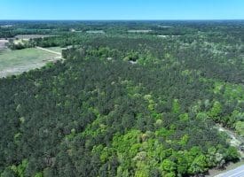 23+/- Acres of Residential and Hunting Land For Sale in Robeson County, NC