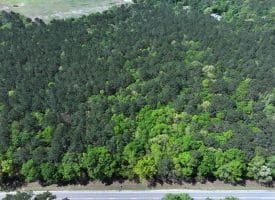 23+/- Acres of Residential and Hunting Land For Sale in Robeson County, NC