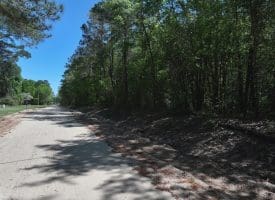 23+/- Acres of Residential and Hunting Land For Sale in Robeson County, NC