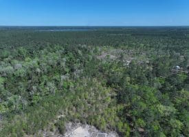 18+/- Acres of Hunting and Residential Land For Sale in Bladen County, NC!