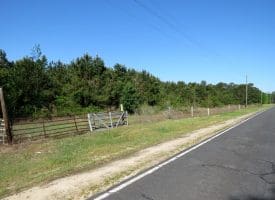 25+/- Acres of Timber and Hunting Land For Sale in Robeson County NC!