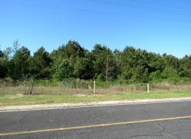 25+/- Acres of Timber and Hunting Land For Sale in Robeson County NC!