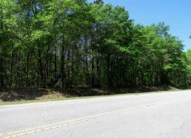 23+/- Acres of Residential and Hunting Land For Sale in Robeson County, NC