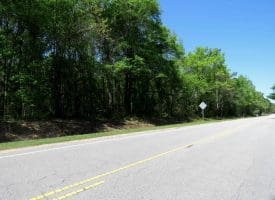 23+/- Acres of Residential and Hunting Land For Sale in Robeson County, NC