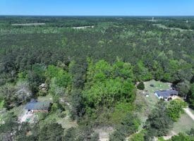 11+/- Acres of Residential and Timber Land For Sale in Robeson County NC!