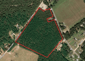 26+/- Acres of Hunting and Timber Land For Sale in Robeson County, NC!