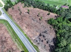 6+/- Acres of Residential Land For Sale in Robeson County, NC!