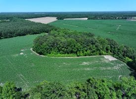 29+/- Acres of Farm and Timber Land For Sale In Robeson County, NC!