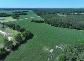 29+/- Acres of Farm and Timber Land For Sale In Robeson County, NC!