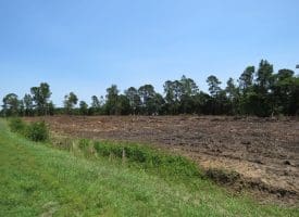 6+/- Acres of Residential Land For Sale in Robeson County, NC!