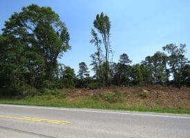 6+/- Acres of Residential Land For Sale in Robeson County, NC!