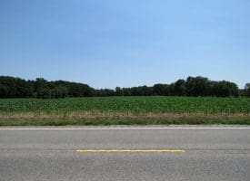 29+/- Acres of Farm and Timber Land For Sale In Robeson County, NC!