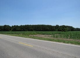 29+/- Acres of Farm and Timber Land For Sale In Robeson County, NC!