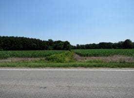 29+/- Acres of Farm and Timber Land For Sale In Robeson County, NC!