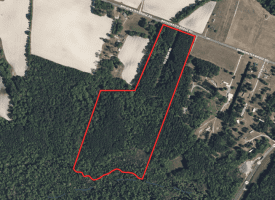 39+/- Acres of Hunting Land and Homesite for Sale in Cumberland County, NC!
