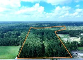 39+/- Acres of Hunting Land and Homesite for Sale in Cumberland County, NC!