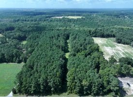 39+/- Acres of Hunting Land and Homesite for Sale in Cumberland County, NC!