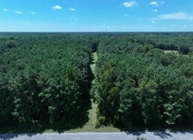 39+/- Acres of Hunting Land and Homesite for Sale in Cumberland County, NC!