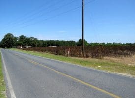10+/- Acres of Residential Land For Sale in Hoke County, NC – Lot 3!