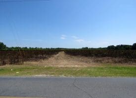 10+/- Acres of Residential Land For Sale in Hoke County, NC – Lot 3!