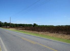 10+/- Acres of Residential Land For Sale in Hoke County, NC – Lot 3!
