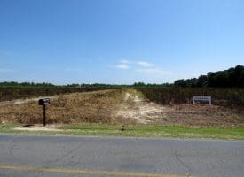 10+/- Acres of Residential Land For Sale in Hoke County, NC – Lot 3!