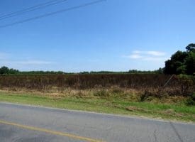 10+/- Acres of Residential Land For Sale in Hoke County, NC – Lot 3!