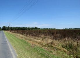 10+/- Acres of Residential Land For Sale in Hoke County, NC – Lot 3!