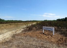 10+/- Acres of Residential Land For Sale in Hoke County, NC – Lot 3!