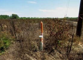 10+/- Acres of Residential Land For Sale in Hoke County, NC – Lot 3!