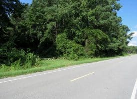 39+/- Acres of Hunting Land and Homesite for Sale in Cumberland County, NC!