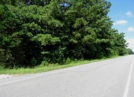 39+/- Acres of Hunting Land and Homesite for Sale in Cumberland County, NC!