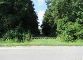 39+/- Acres of Hunting Land and Homesite for Sale in Cumberland County, NC!