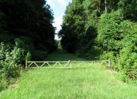 39+/- Acres of Hunting Land and Homesite for Sale in Cumberland County, NC!