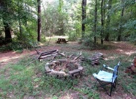 39+/- Acres of Hunting Land and Homesite for Sale in Cumberland County, NC!